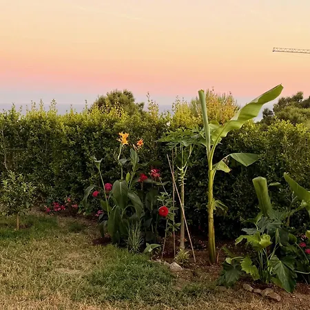 Garden Dream