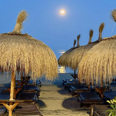 Garden Dream